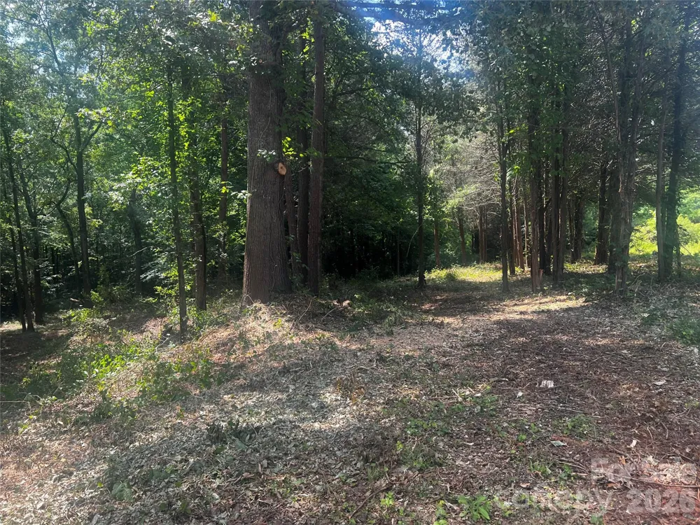 10376 Turnplow Drive #9 Davidson, NC 28036
