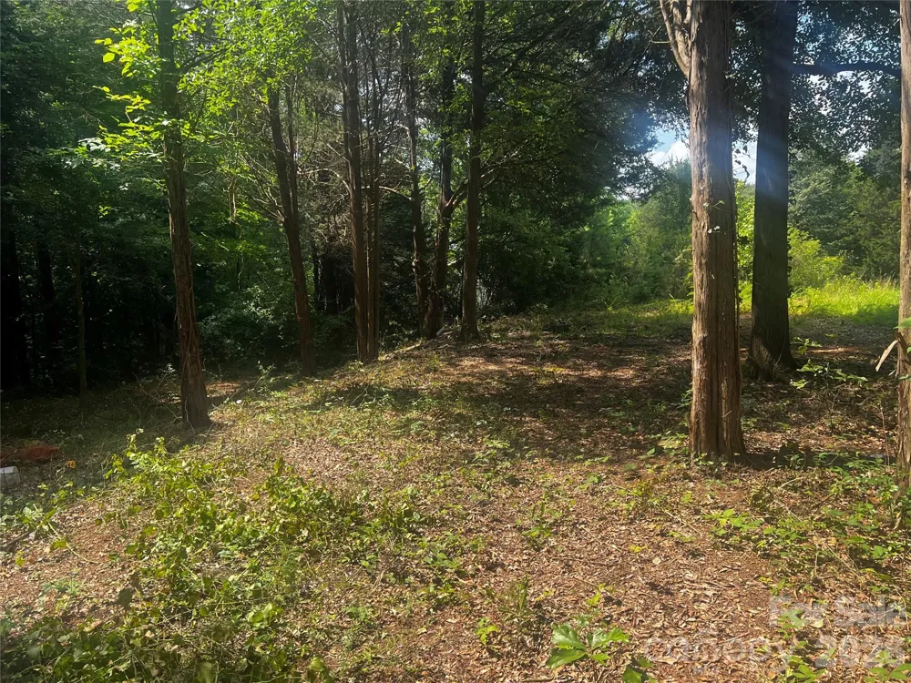 10376 Turnplow Drive #9 Davidson, NC 28036