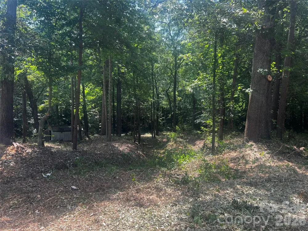 10376 Turnplow Drive #9 Davidson, NC 28036