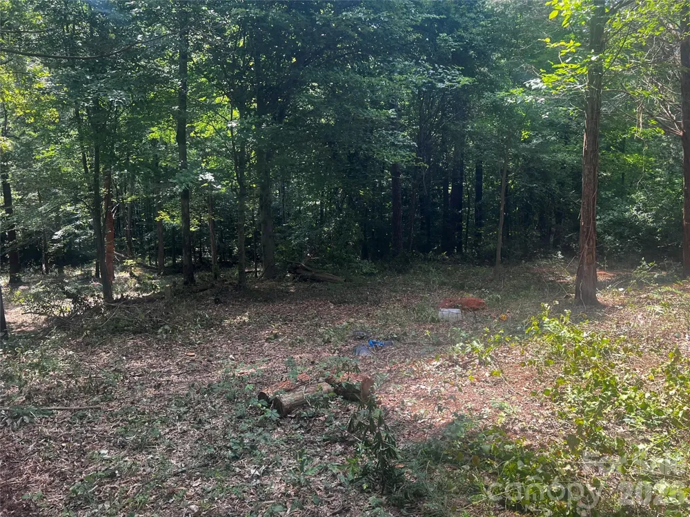 10376 Turnplow Drive #9 Davidson, NC 28036