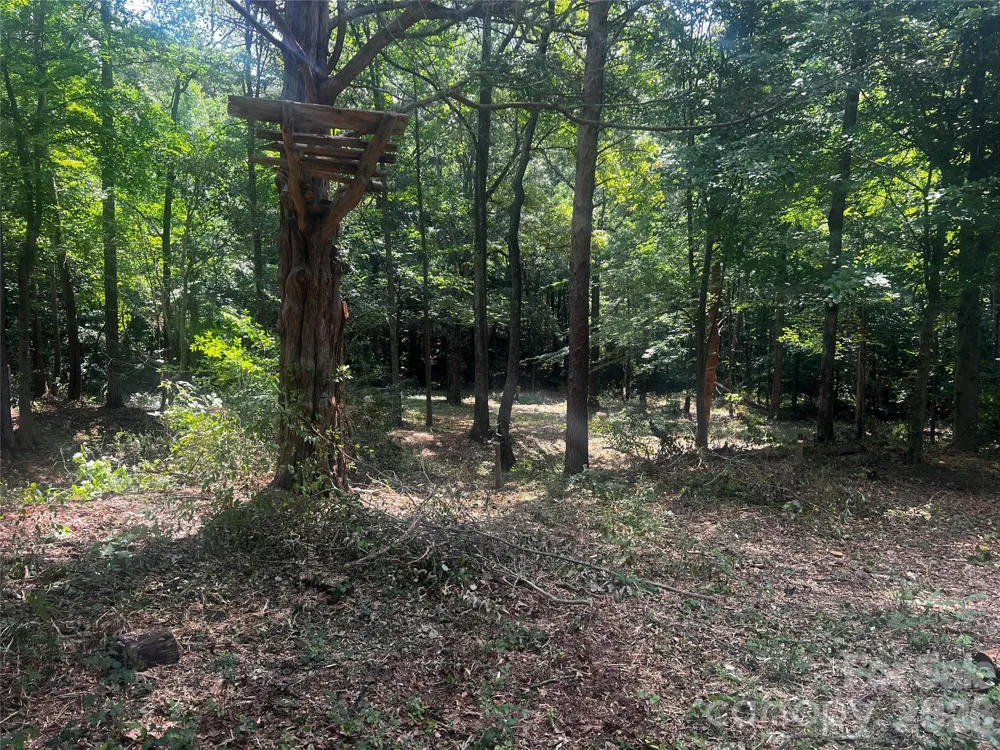 10376 Turnplow Drive #9 Davidson, NC 28036