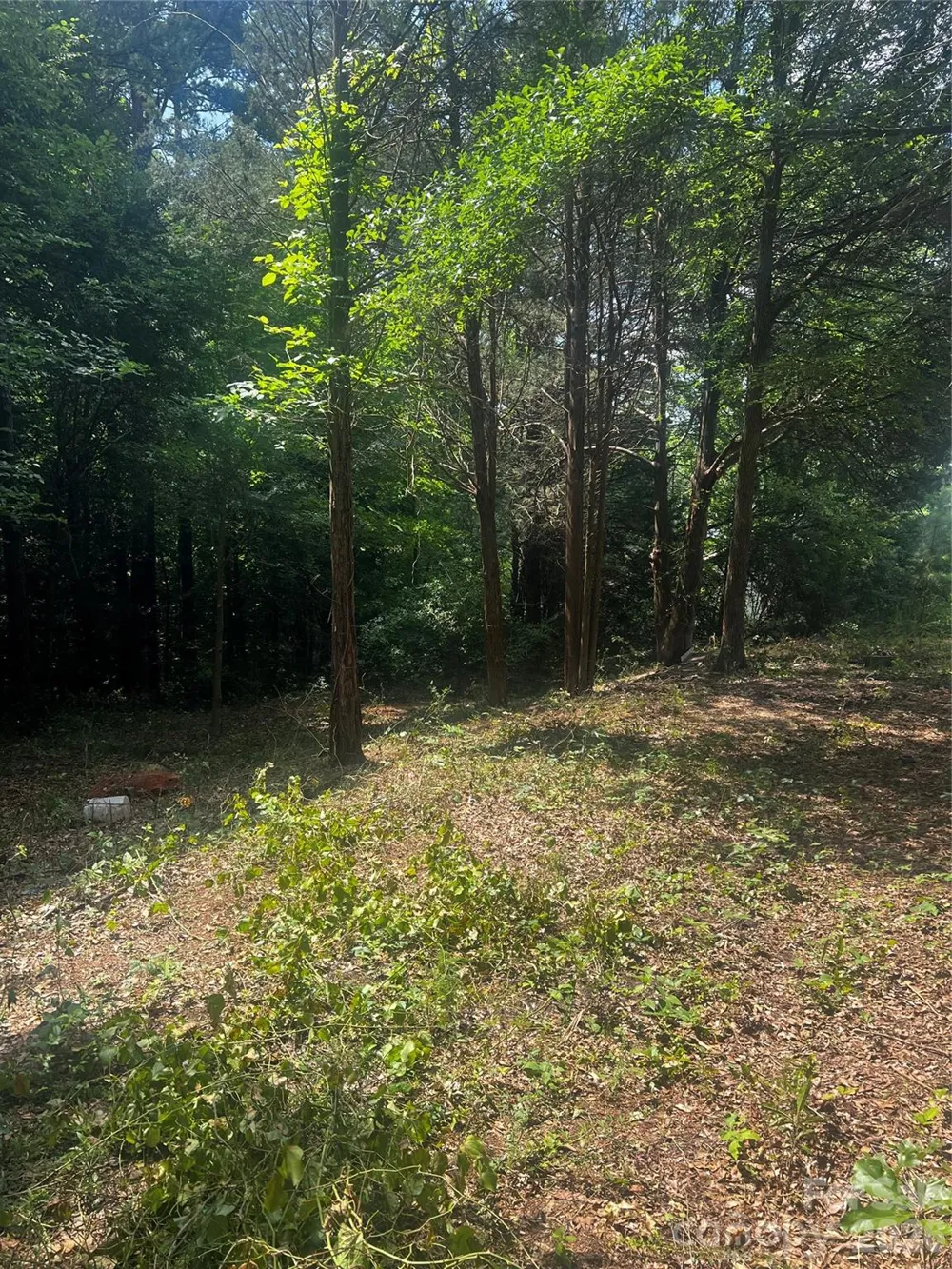 10376 Turnplow Drive #9 Davidson, NC 28036