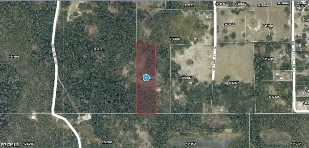 Mikasuki Trail Paisley, FL 32767