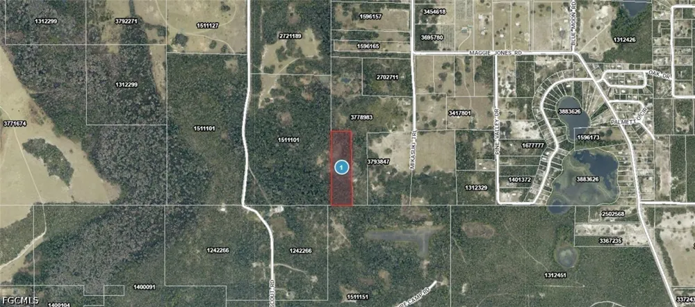 Mikasuki Trail Paisley, FL 32767