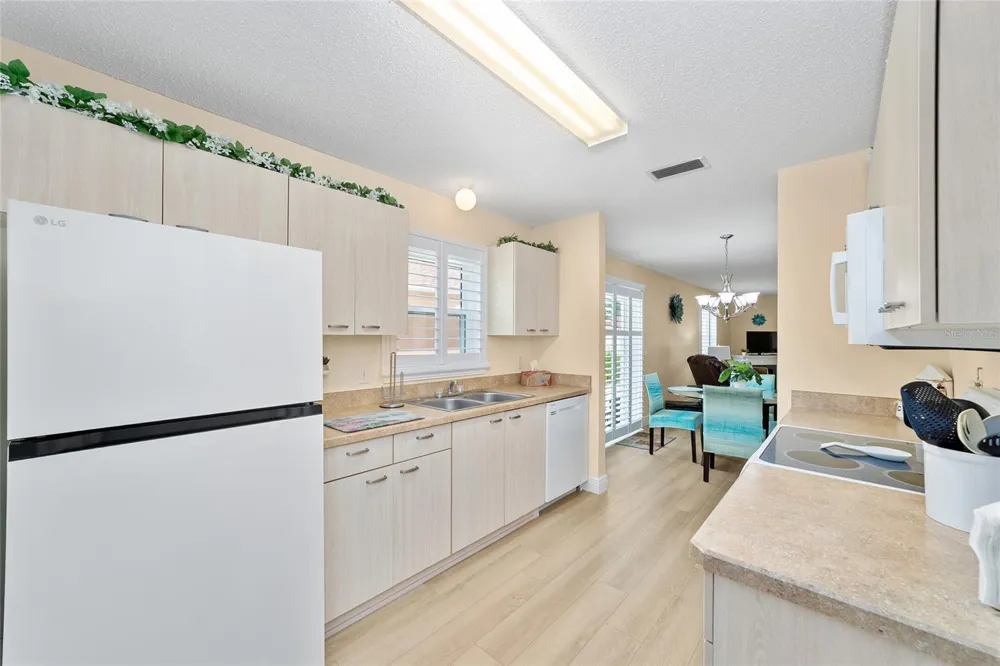 911 MEDIRA DRIVE Lady Lake, FL 32159