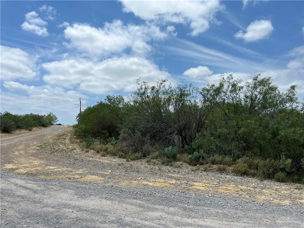 319 Pelican Street Zapata, TX 78076