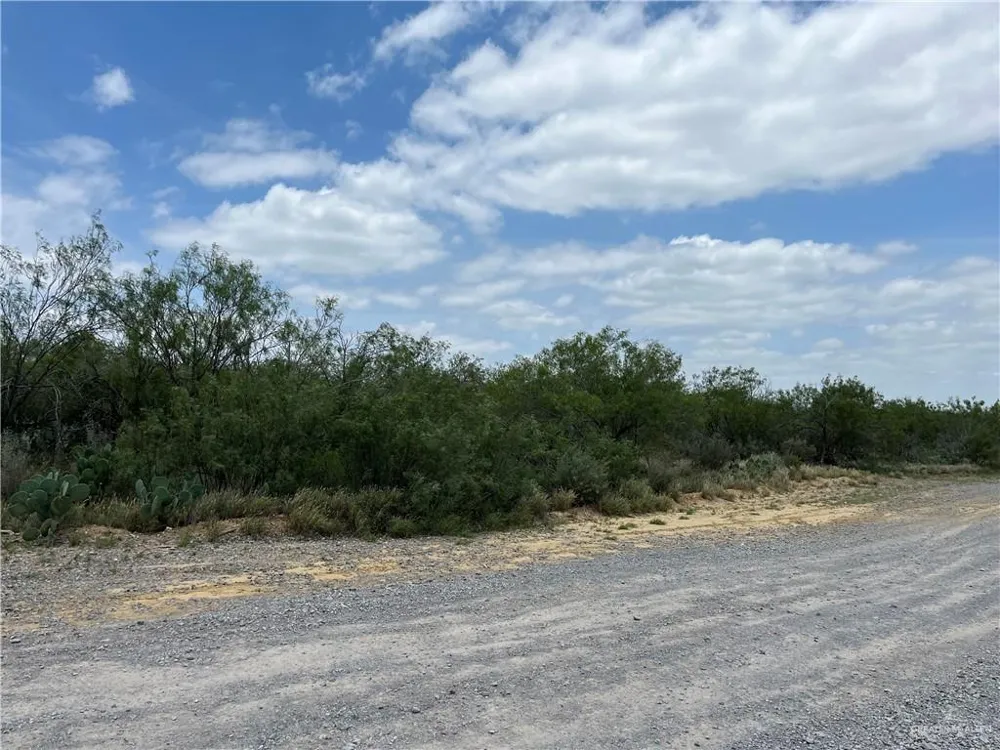 319 Pelican Street Zapata, TX 78076