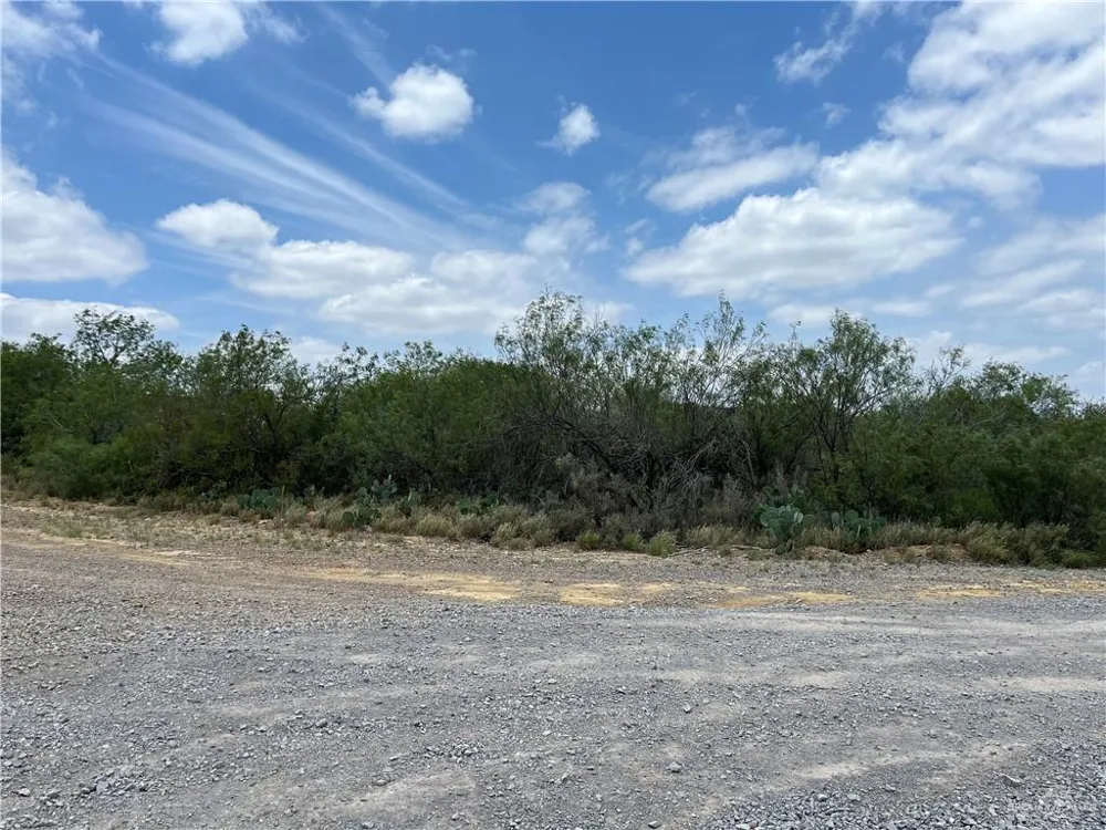 319 Pelican Street Zapata, TX 78076