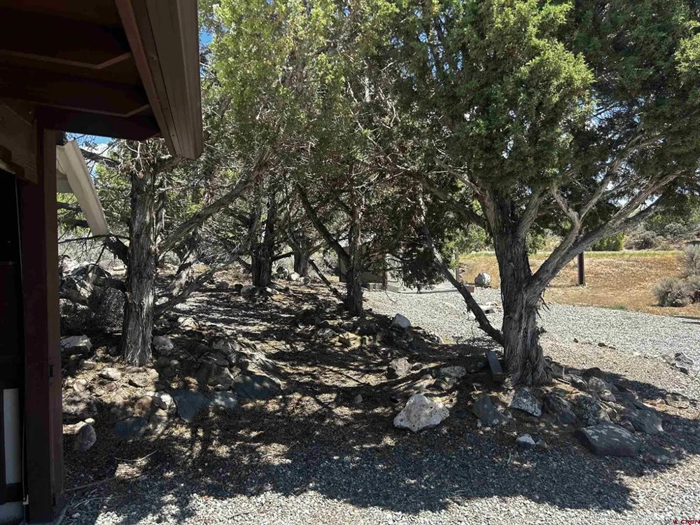 16751 Cedar Lane Cedaredge, CO 81413