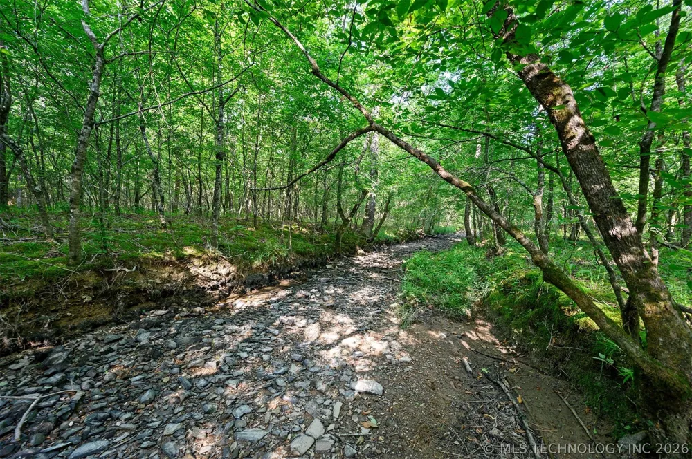 66 Aged Acacia Trail Broken Bow, OK 74728