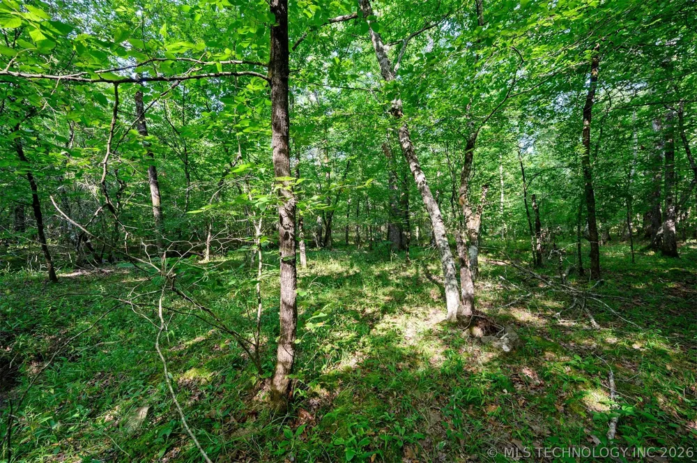 66 Aged Acacia Trail Broken Bow, OK 74728