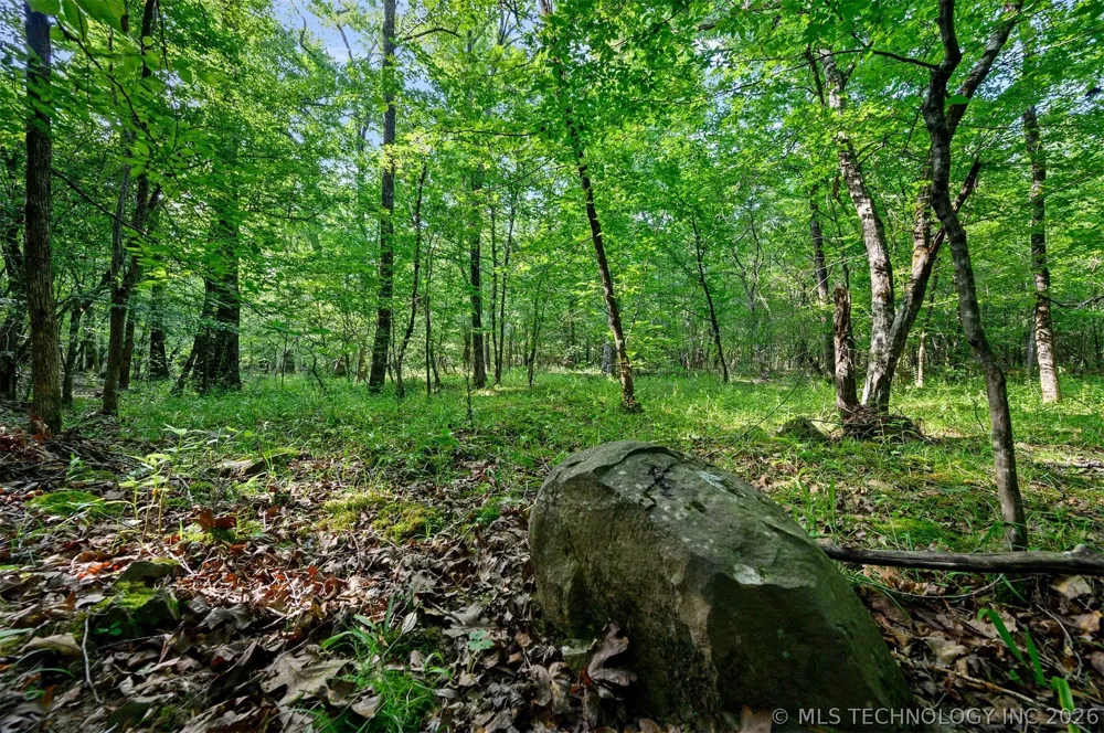 66 Aged Acacia Trail Broken Bow, OK 74728