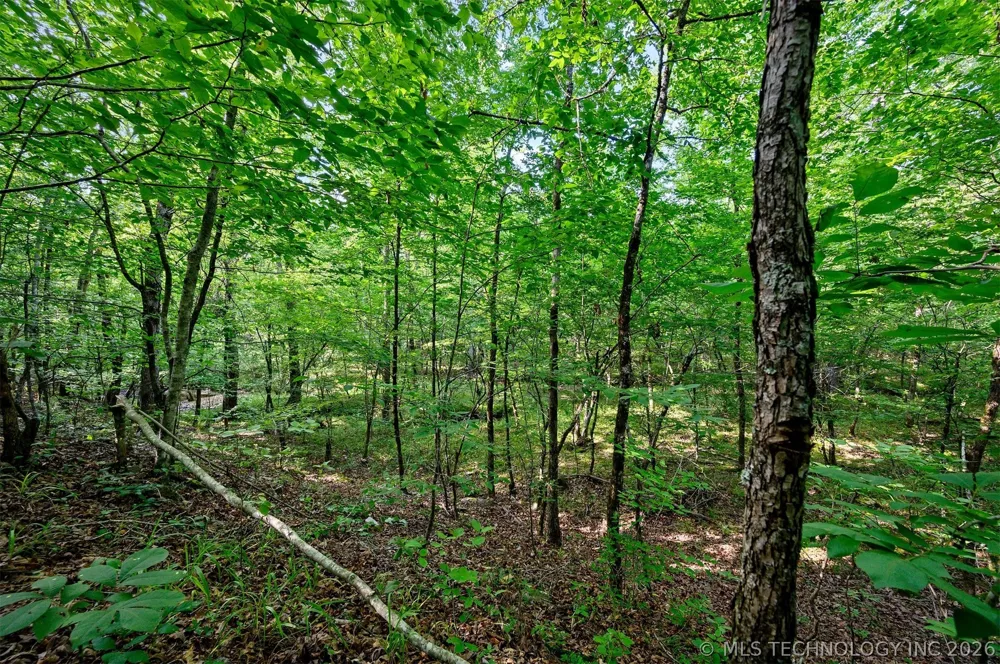 66 Aged Acacia Trail Broken Bow, OK 74728