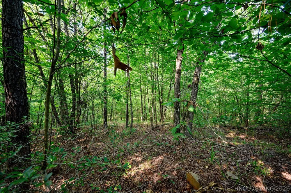 66 Aged Acacia Trail Broken Bow, OK 74728