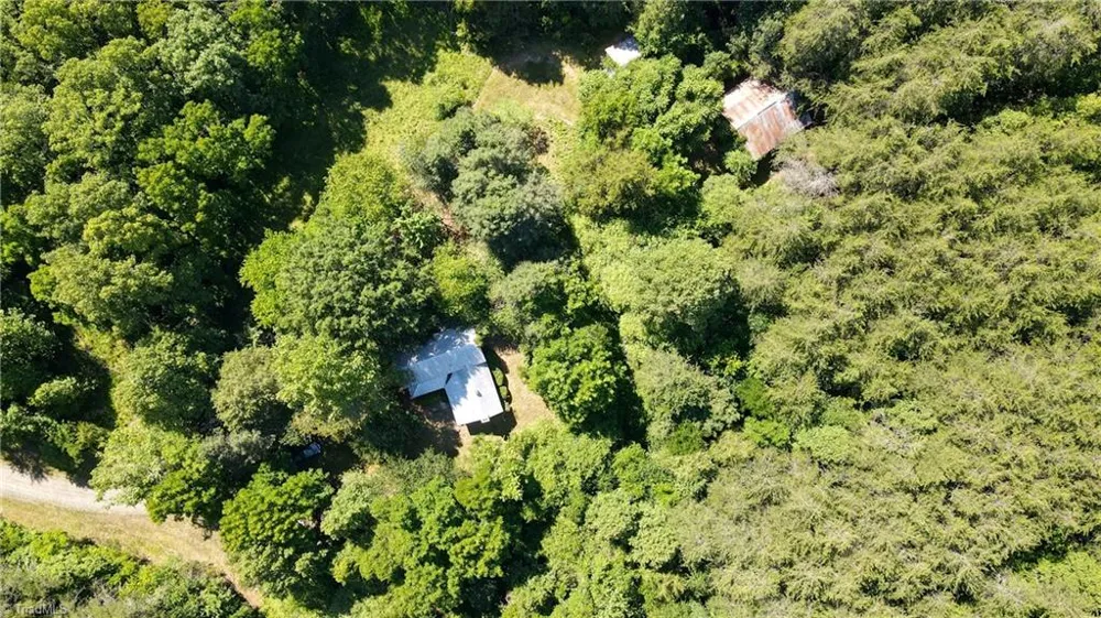 1215 Lucius Beasley Road Westfield, NC 27053