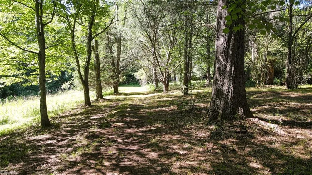 1215 Lucius Beasley Road Westfield, NC 27053