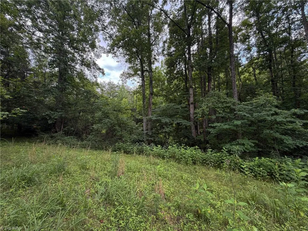 1215 Lucius Beasley Road Westfield, NC 27053
