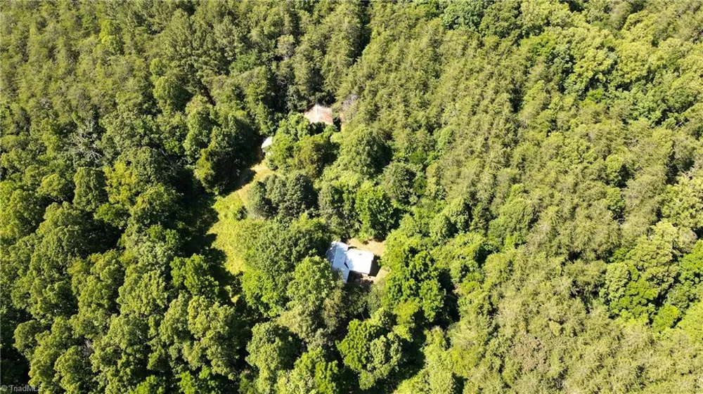 1215 Lucius Beasley Road Westfield, NC 27053