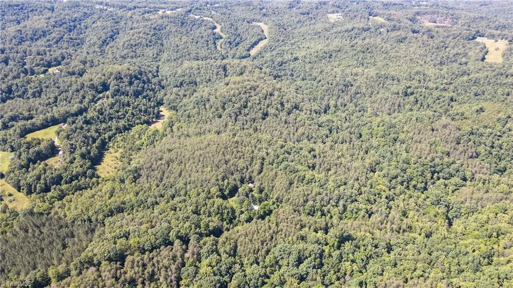 1215 Lucius Beasley Road Westfield, NC 27053