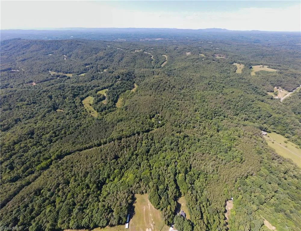 1215 Lucius Beasley Road Westfield, NC 27053