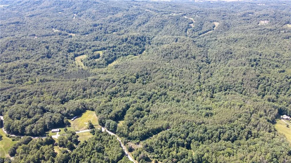 1215 Lucius Beasley Road Westfield, NC 27053