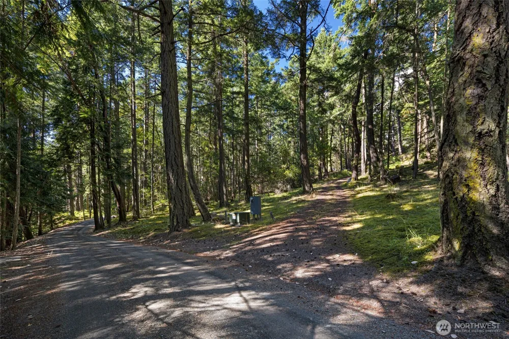 668 Carefree Lane Friday Harbor, WA 98250