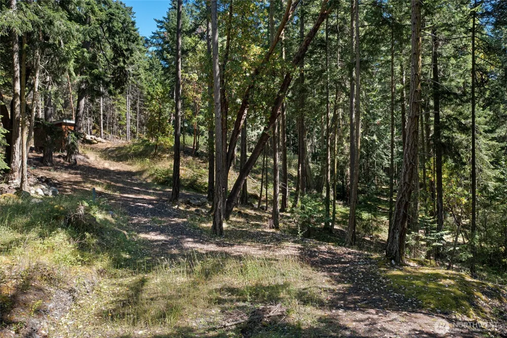 668 Carefree Lane Friday Harbor, WA 98250