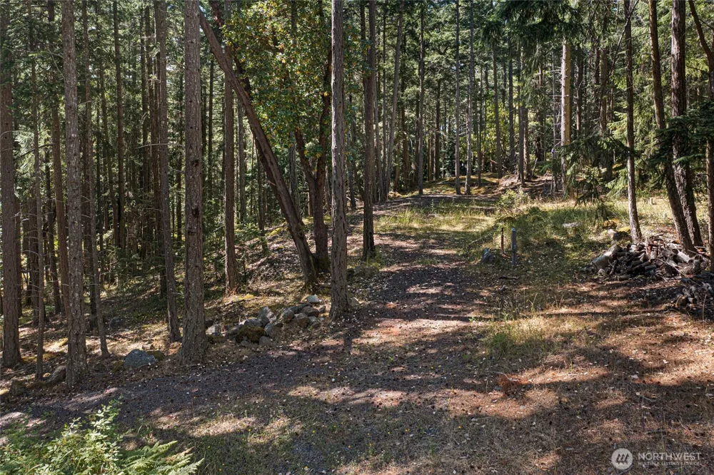 668 Carefree Lane Friday Harbor, WA 98250