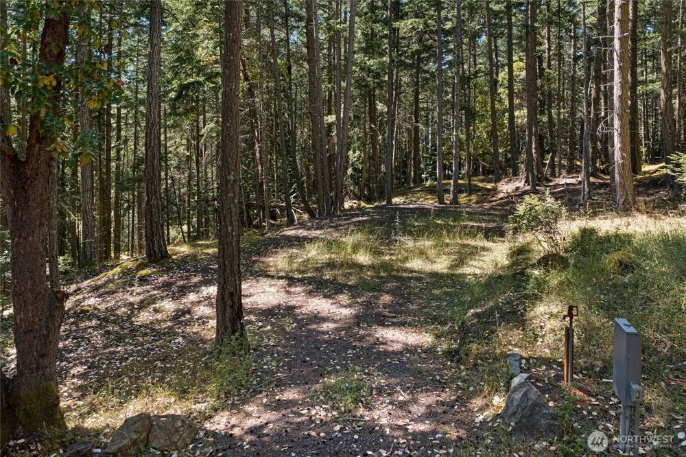 668 Carefree Lane Friday Harbor, WA 98250