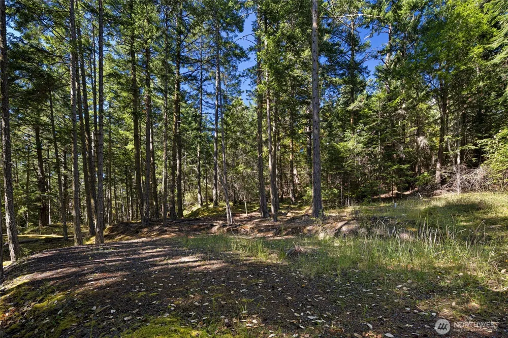 668 Carefree Lane Friday Harbor, WA 98250