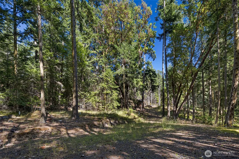 668 Carefree Lane Friday Harbor, WA 98250