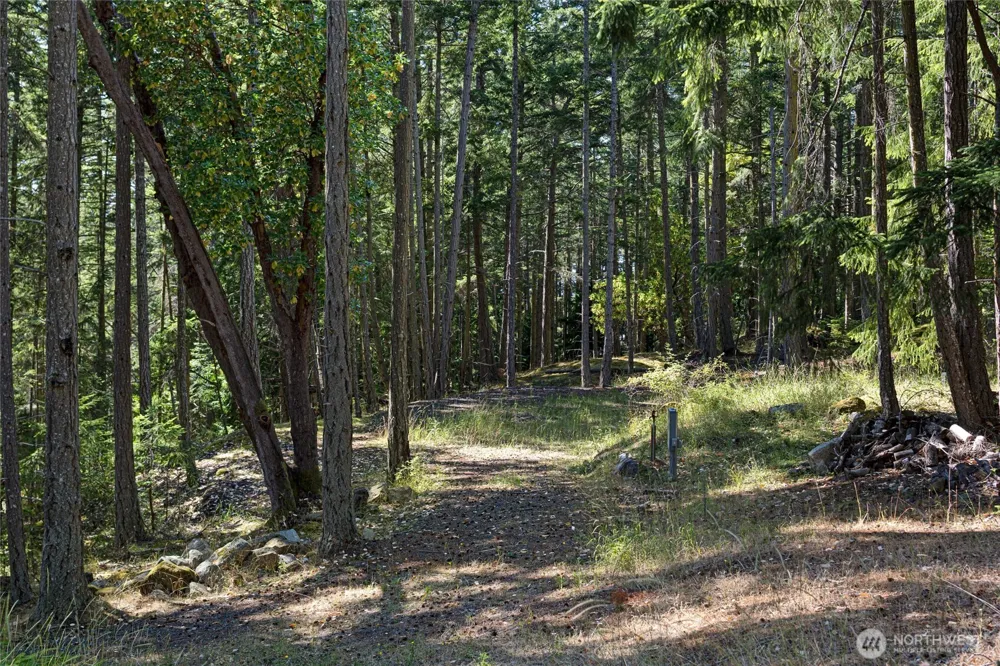 668 Carefree Lane Friday Harbor, WA 98250
