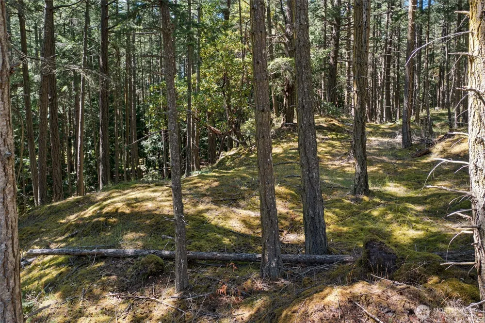668 Carefree Lane Friday Harbor, WA 98250