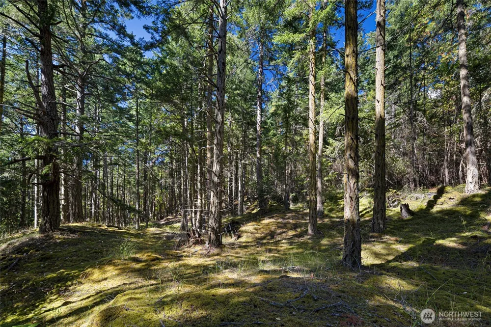 668 Carefree Lane Friday Harbor, WA 98250