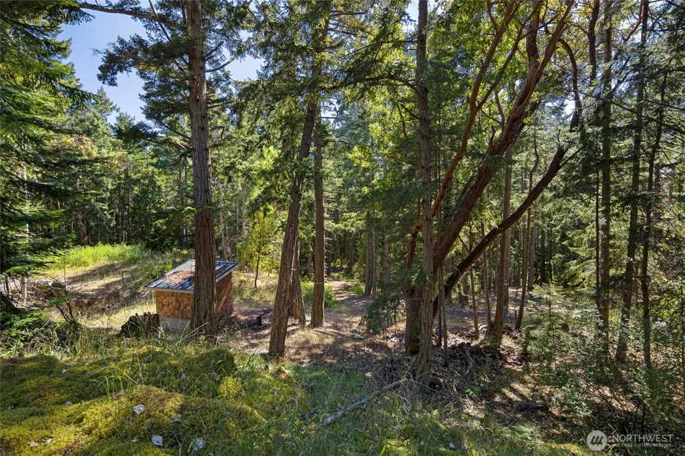 668 Carefree Lane Friday Harbor, WA 98250