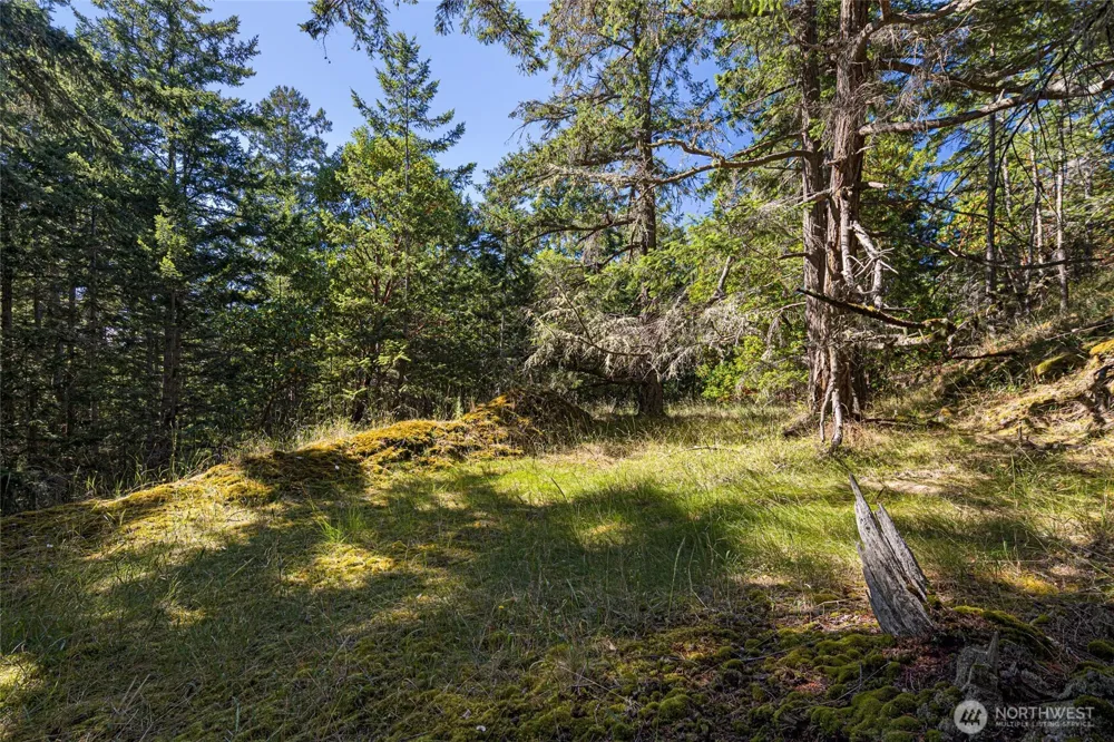 668 Carefree Lane Friday Harbor, WA 98250