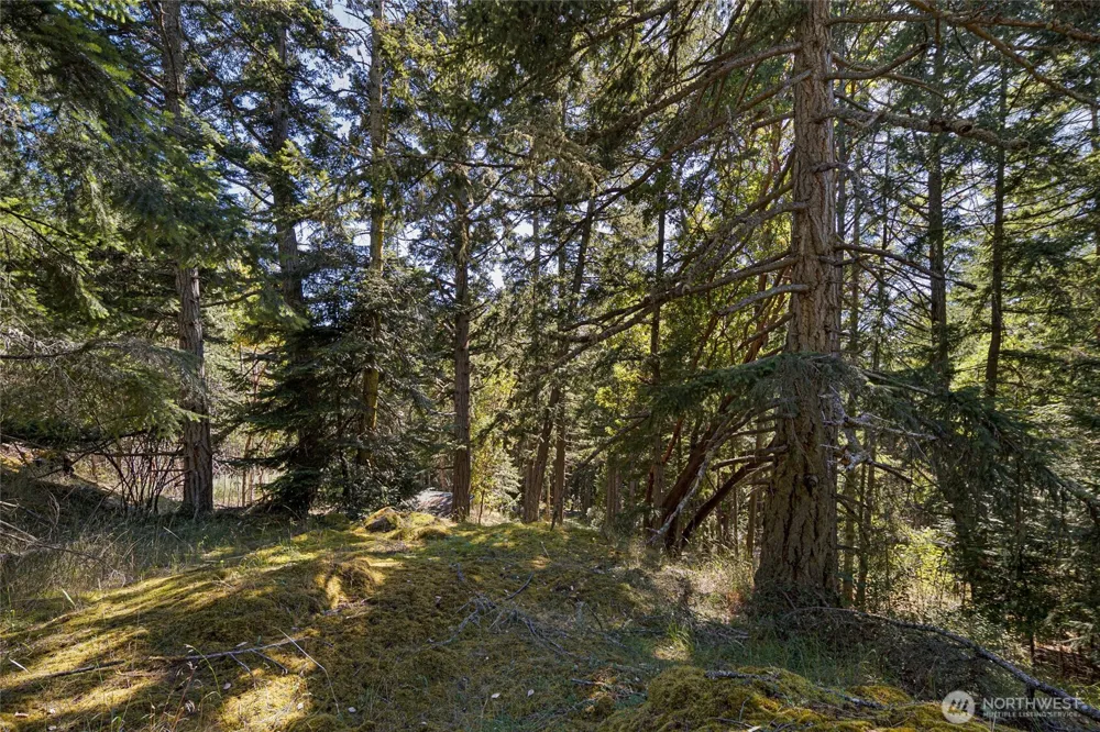 668 Carefree Lane Friday Harbor, WA 98250