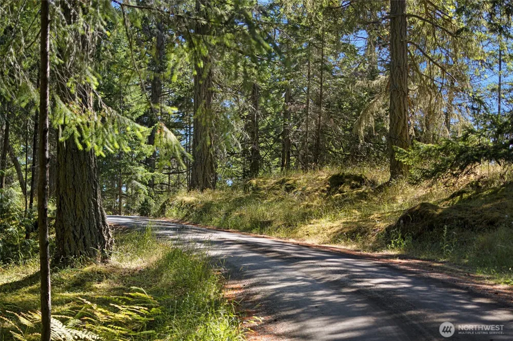668 Carefree Lane Friday Harbor, WA 98250