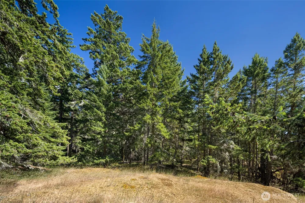 668 Carefree Lane Friday Harbor, WA 98250