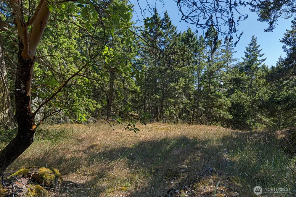 668 Carefree Lane Friday Harbor, WA 98250