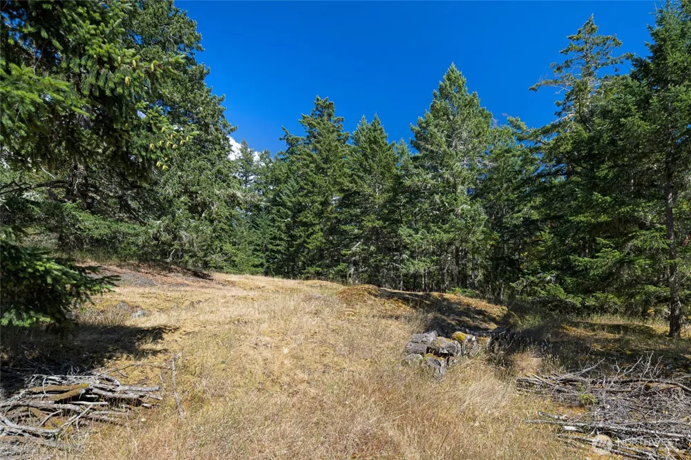 668 Carefree Lane Friday Harbor, WA 98250