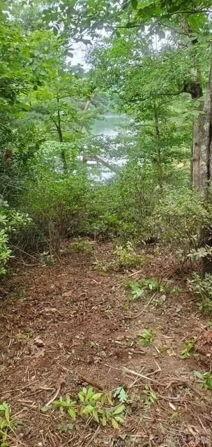 TBD Main Channel Point #37 Granite Falls, NC 28630
