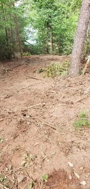 TBD Main Channel Point #37 Granite Falls, NC 28630