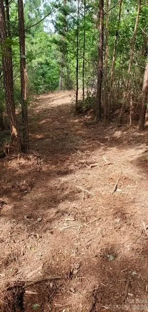 TBD Main Channel Point #37 Granite Falls, NC 28630