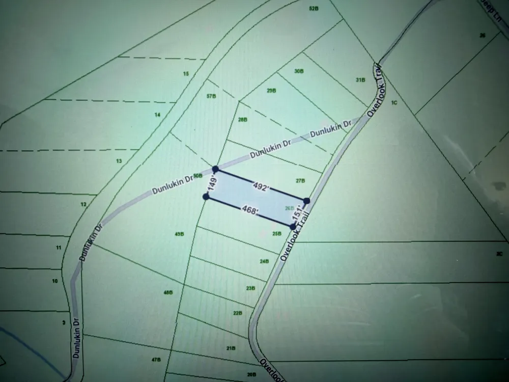 2171 Overlook Trail Spring City, TN 37381