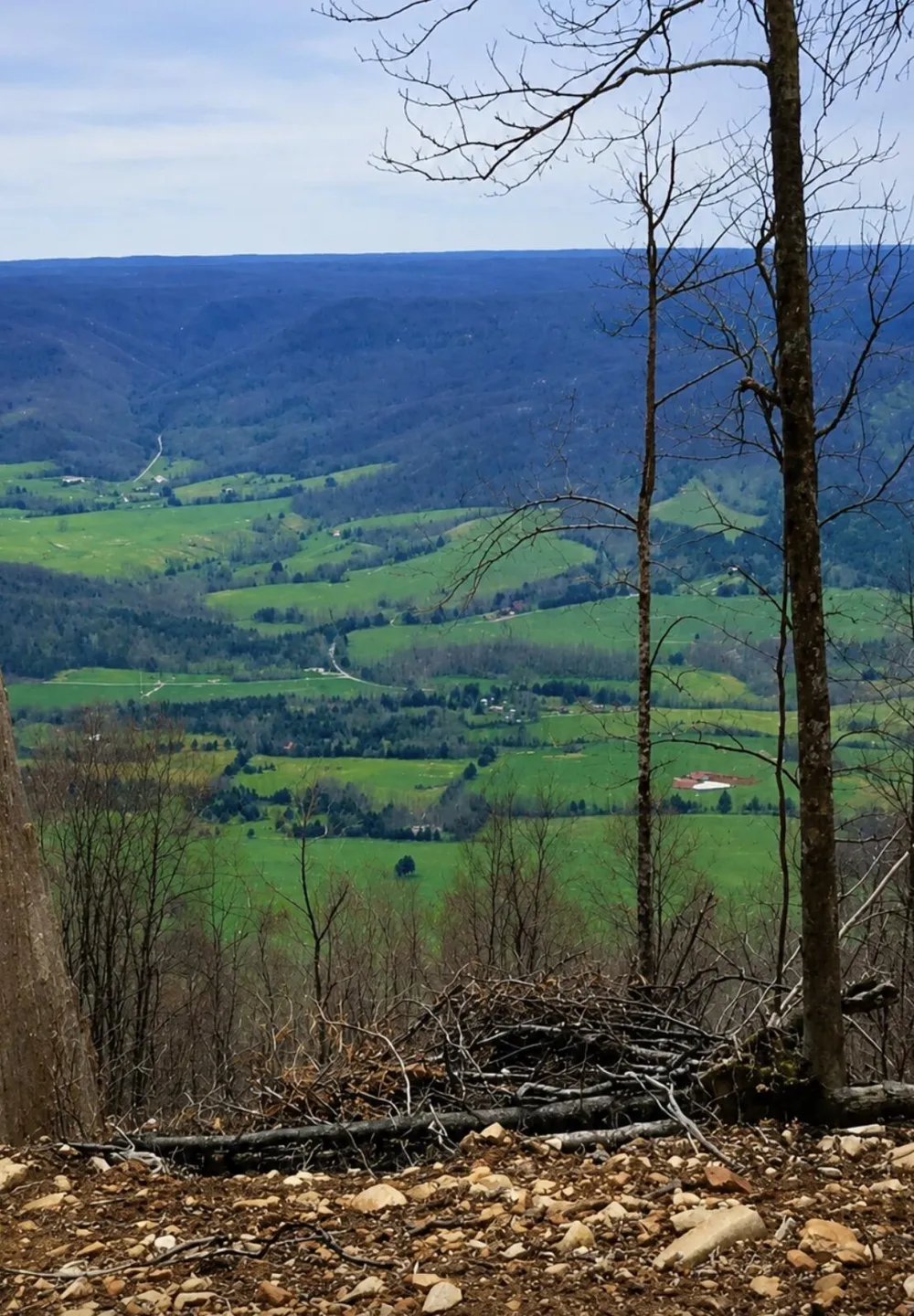 2171 Overlook Trail Spring City, TN 37381
