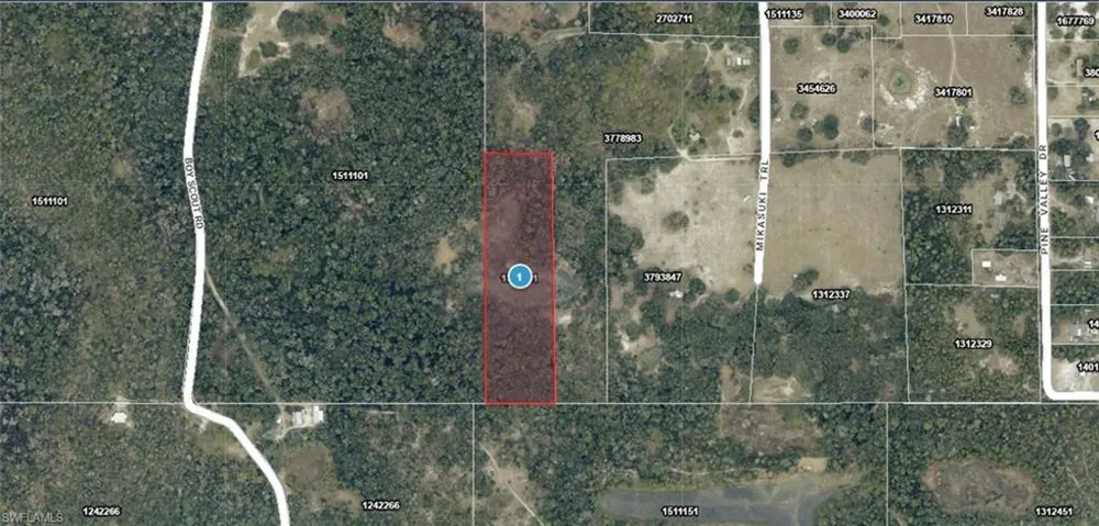 Mikasuki Trail Paisley, FL 32767