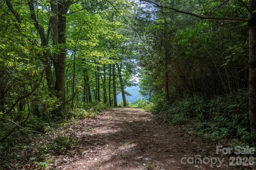 Lot 114R Toxaway Drive Lake Toxaway, NC 28747