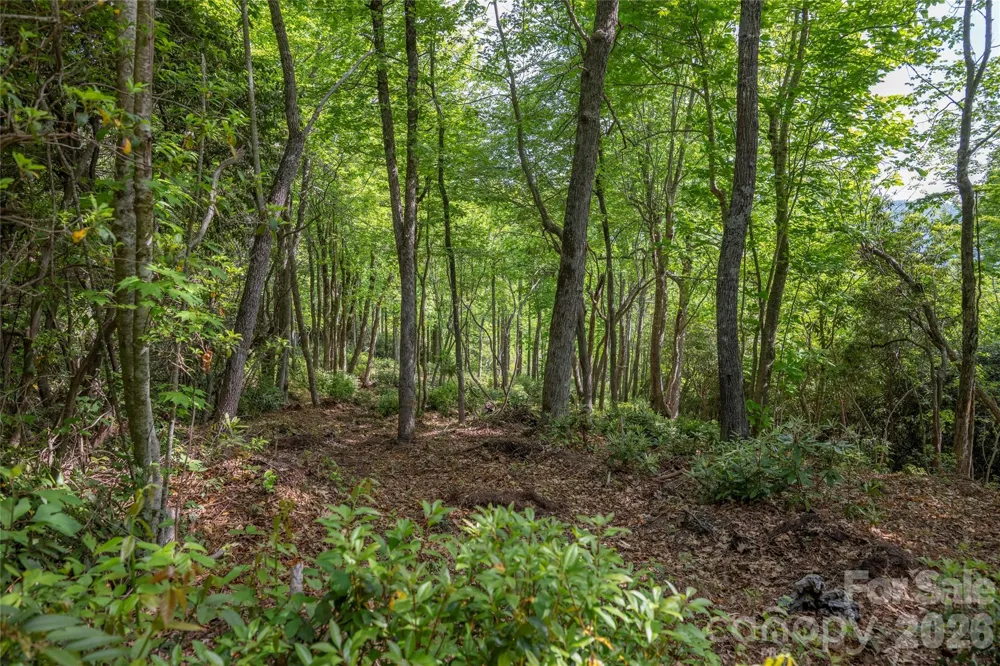 Lot 114R Toxaway Drive Lake Toxaway, NC 28747