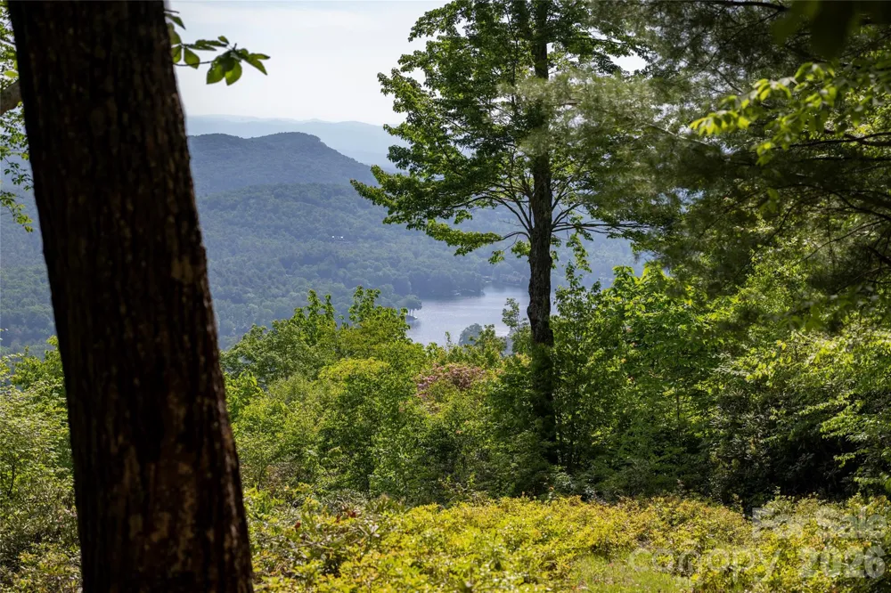 Lot 114R Toxaway Drive Lake Toxaway, NC 28747